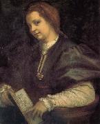 Andrea del Sarto Take the book portrait of woman Germany oil painting artist